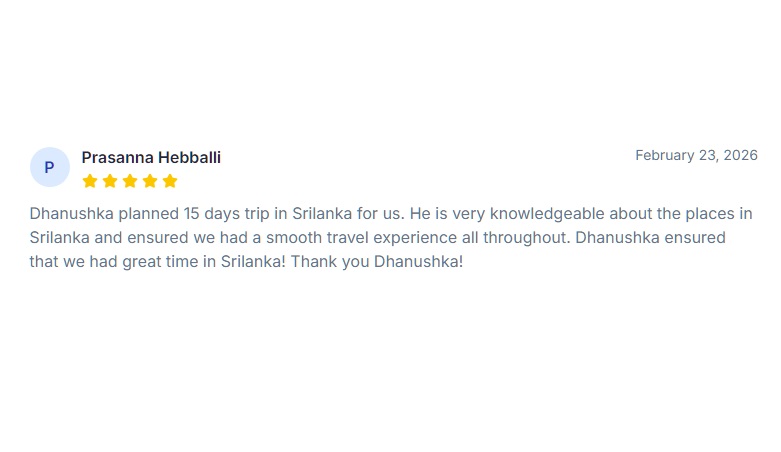 Customer Reviews ( 01 ) (5)